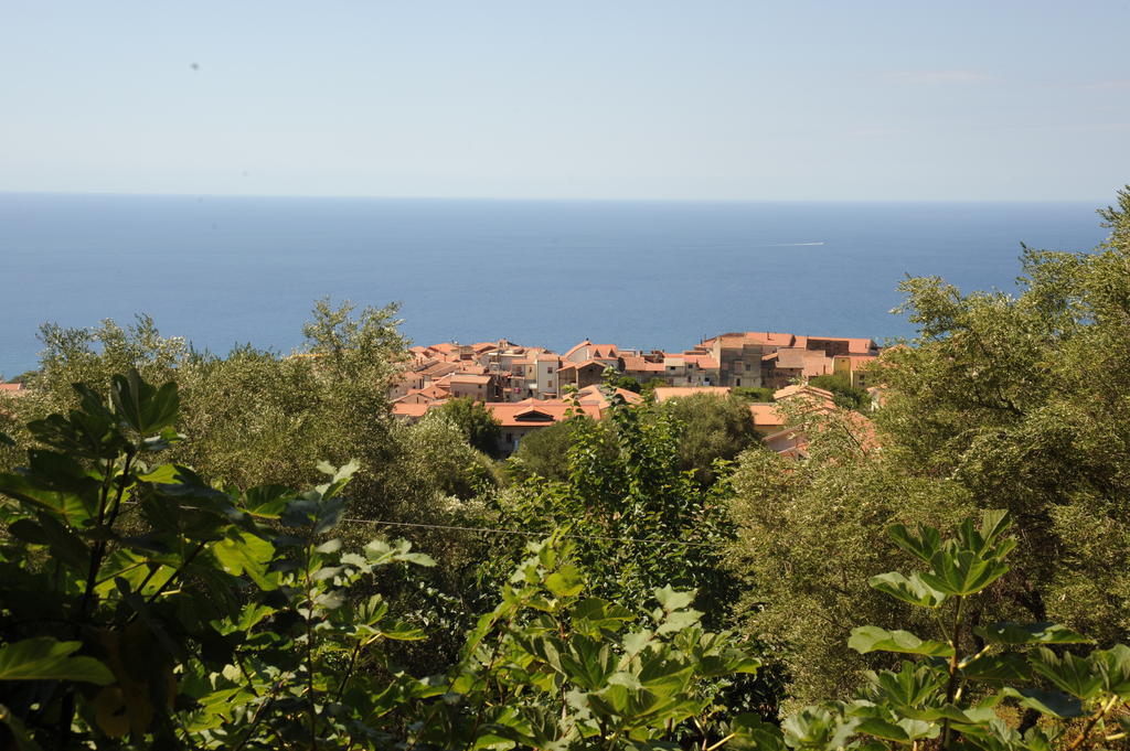 Villa Agriturismo La Focazza Ascea Exterior foto