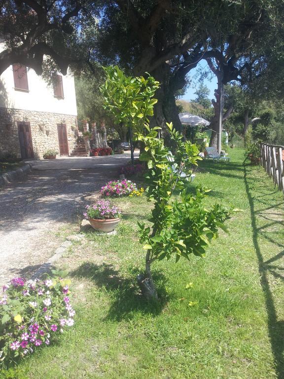 Villa Agriturismo La Focazza Ascea Exterior foto